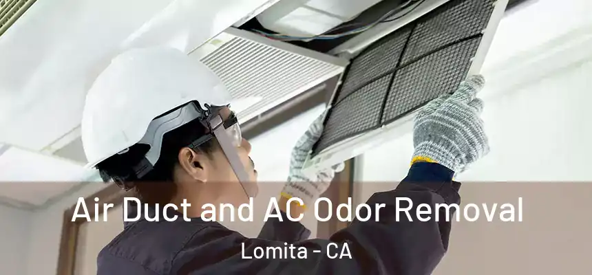  Air Duct and AC Odor Removal Lomita - CA