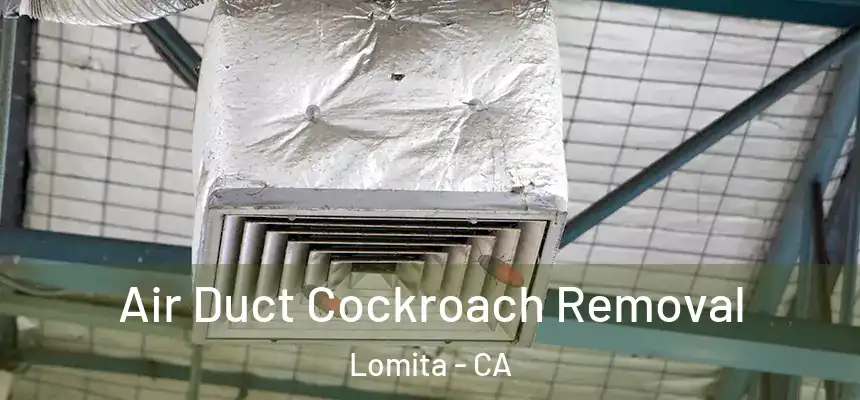  Air Duct Cockroach Removal Lomita - CA