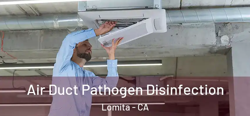  Air Duct Pathogen Disinfection Lomita - CA