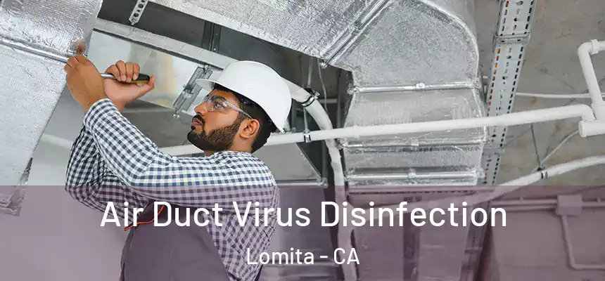  Air Duct Virus Disinfection Lomita - CA