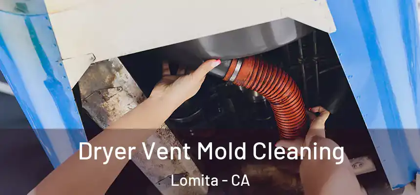 Dryer Vent Mold Cleaning Lomita - CA