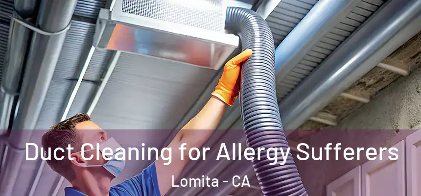  Duct Cleaning for Allergy Sufferers Lomita - CA