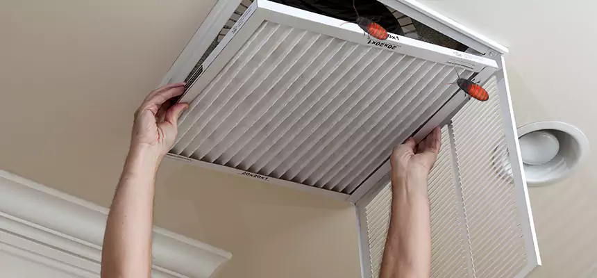 Preventive Cockroach-Proofing for Ducts in Lomita