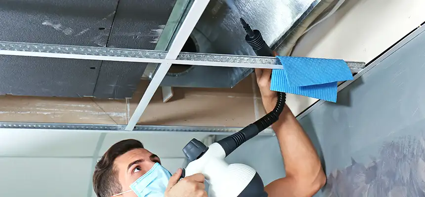 Our Air Duct Rodent Removal Services in Lomita, CA
