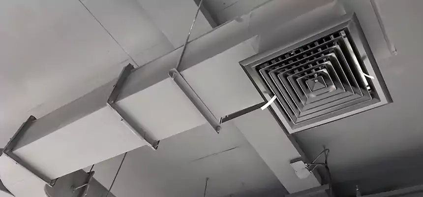 Restorative Allergy Relief Vent Cleaning – Coil, Blower & Housing Detail in Lomita