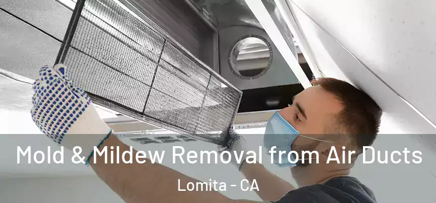  Mold & Mildew Removal from Air Ducts Lomita - CA
