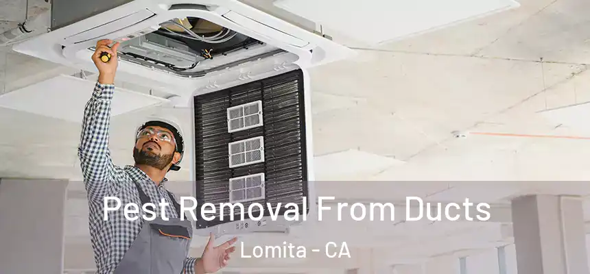  Pest Removal From Ducts Lomita - CA