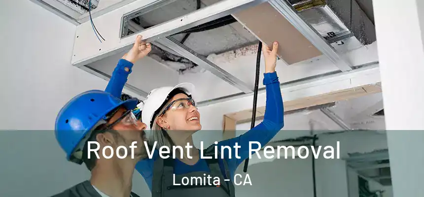  Roof Vent Lint Removal Lomita - CA