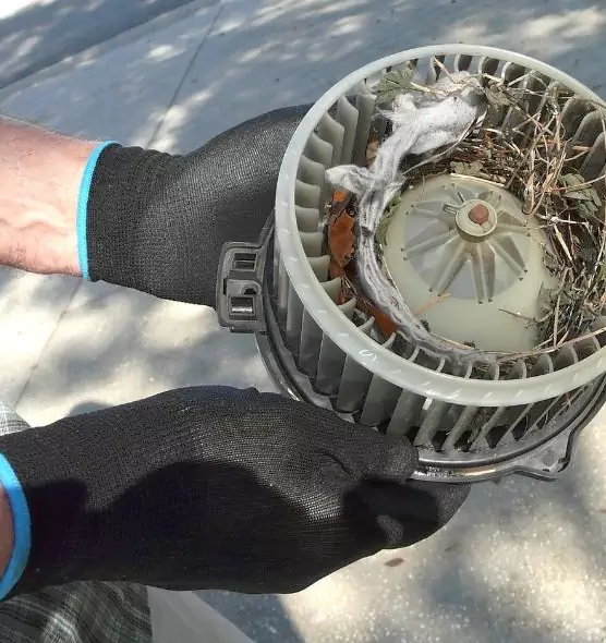 About Air Duct Mice Removal in Lomita, CA