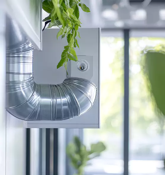 Professional Eco-Friendly Duct Cleaning Services in Lomita, CA