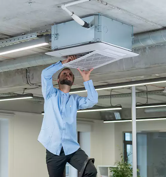 Advanced Rodent Droppings In Vents in Lomita, CA