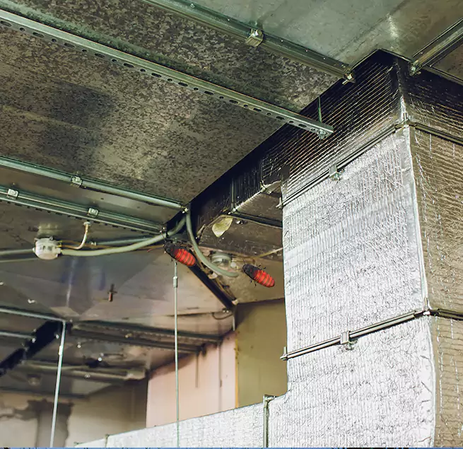 Why Homeowners & Businesses Trust Us in Lomita, CA?