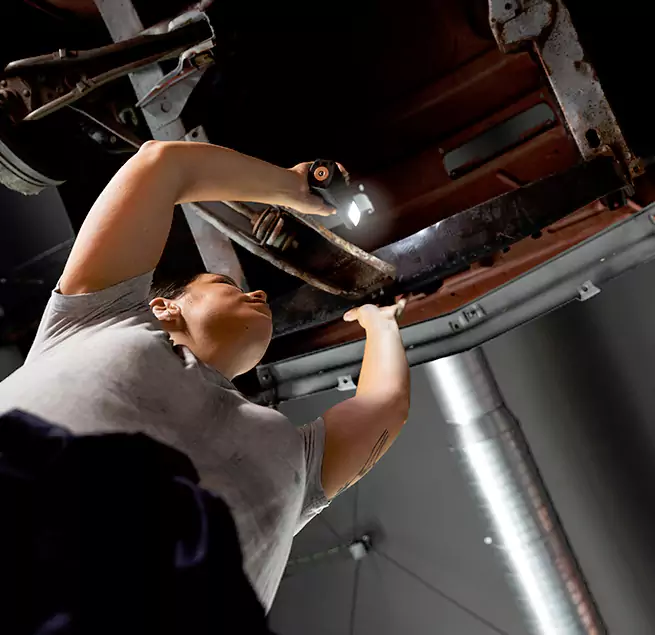 Why Homeowners & Businesses Trust Us Lomita, CA