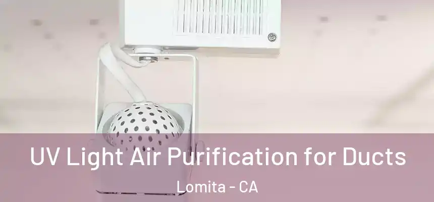  UV Light Air Purification for Ducts Lomita - CA